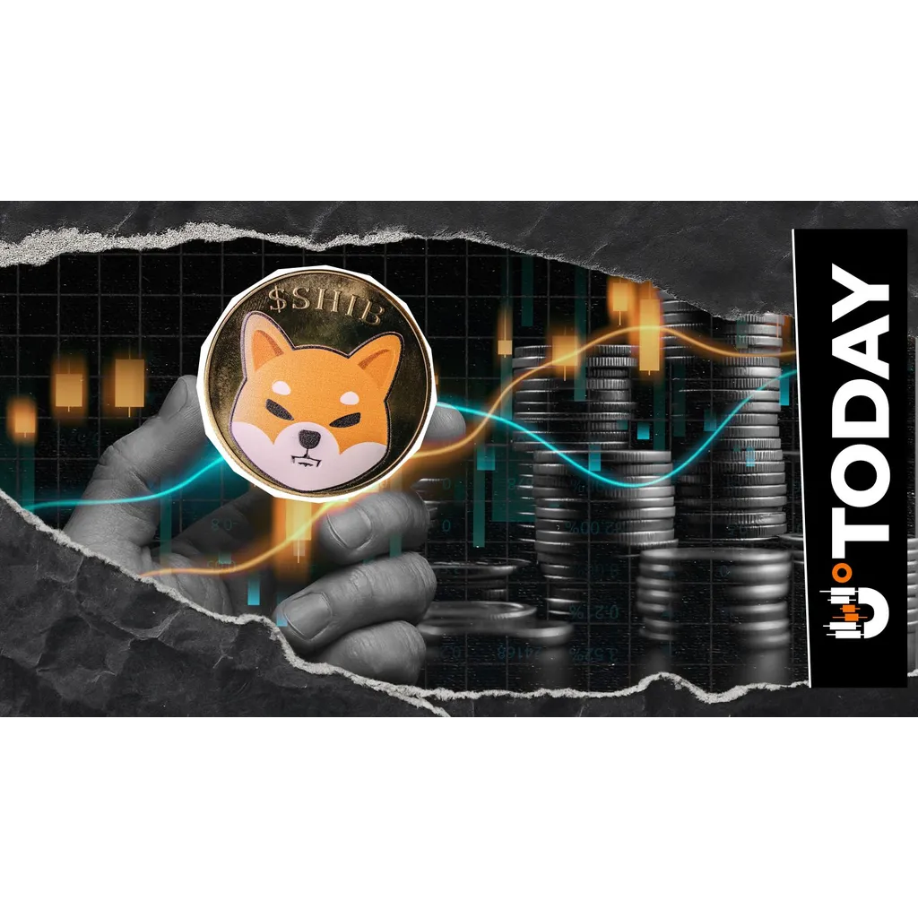 SHIB Dev Drops Surprising Analogy as Shiba Inu Community Awaits Fresh Update SHIB Dev Drops Surprising Analogy as Shiba Inu Community Awaits Fresh Update