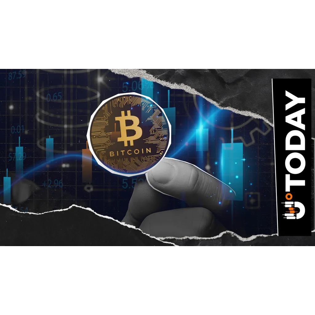 Long-Term Bitcoin Bear David Stockman Calls BTC ‘Rug Pull’ Long-Term Bitcoin Bear David Stockman Calls BTC ‘Rug Pull’