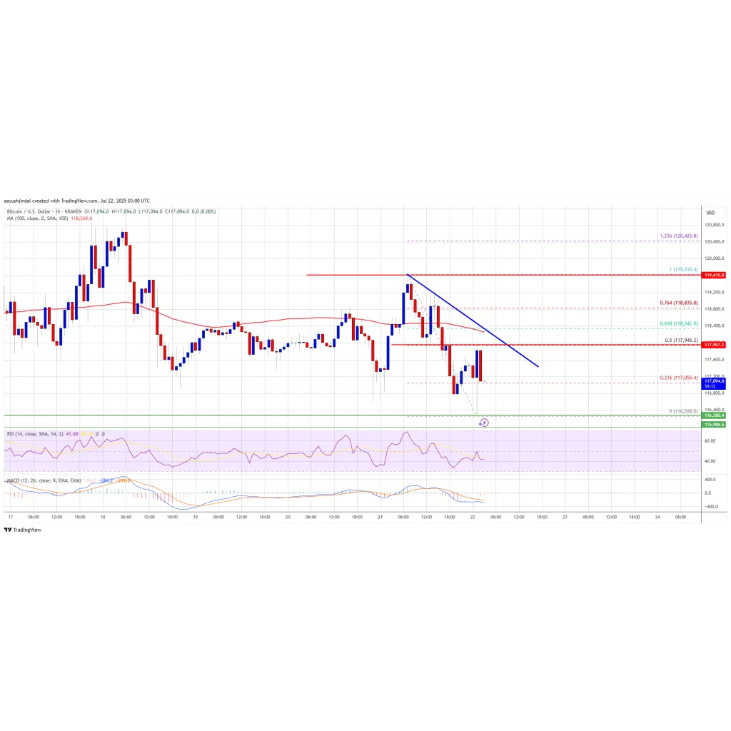 Bitcoin Price Consolidates—Is a Downside Correction on the Horizon? Bitcoin Price Consolidates—Is a Downside Correction on the Horizon?