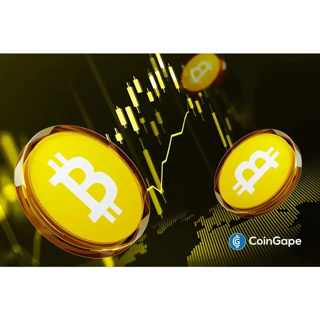 Who Owns the Most BTC Right Now? Who Owns the Most BTC Right Now?