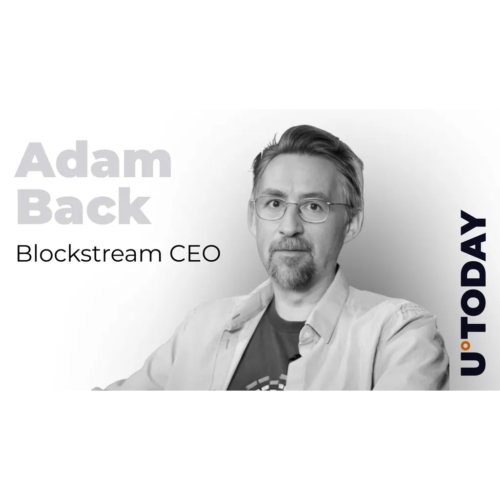 Lost Satoshi blockchain chat resurfaces years later with Adam Back commentary Lost Satoshi blockchain chat resurfaces years later with Adam Back commentary