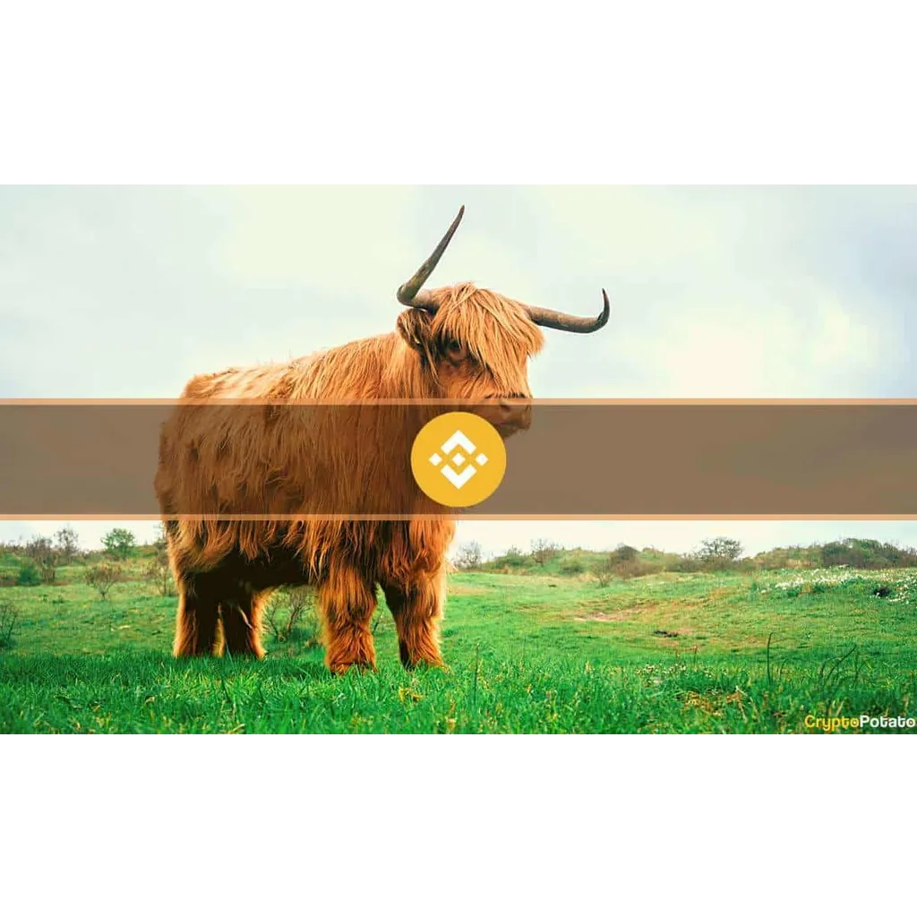 Binance Coin surpasses Ripple in market cap after price surge Binance Coin surpasses Ripple in market cap after price surge