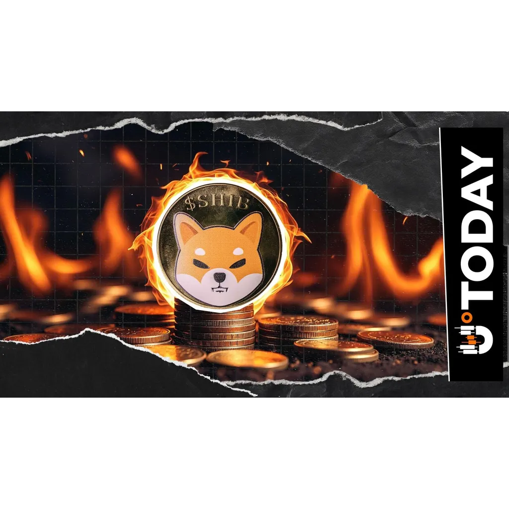 0 Shiba Inu in 24 Hours, SHIB Burn Rate Crashes 100% 0 Shiba Inu in 24 Hours, SHIB Burn Rate Crashes 100%