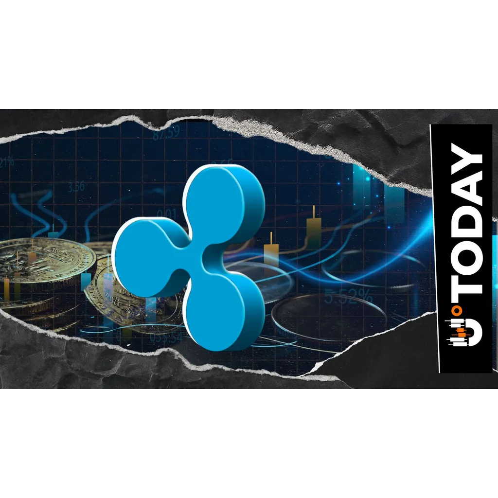 Ripple Expands Its Digital Asset Solutions With Its Treasury Management System Launch Ripple Expands Its Digital Asset Solutions With Its Treasury Management System Launch