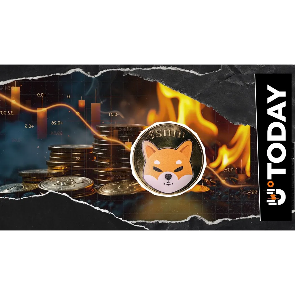 Shiba Inu records zero token burns and a 130 billion SHIB exchange loss Shiba Inu records zero token burns and a 130 billion SHIB exchange loss