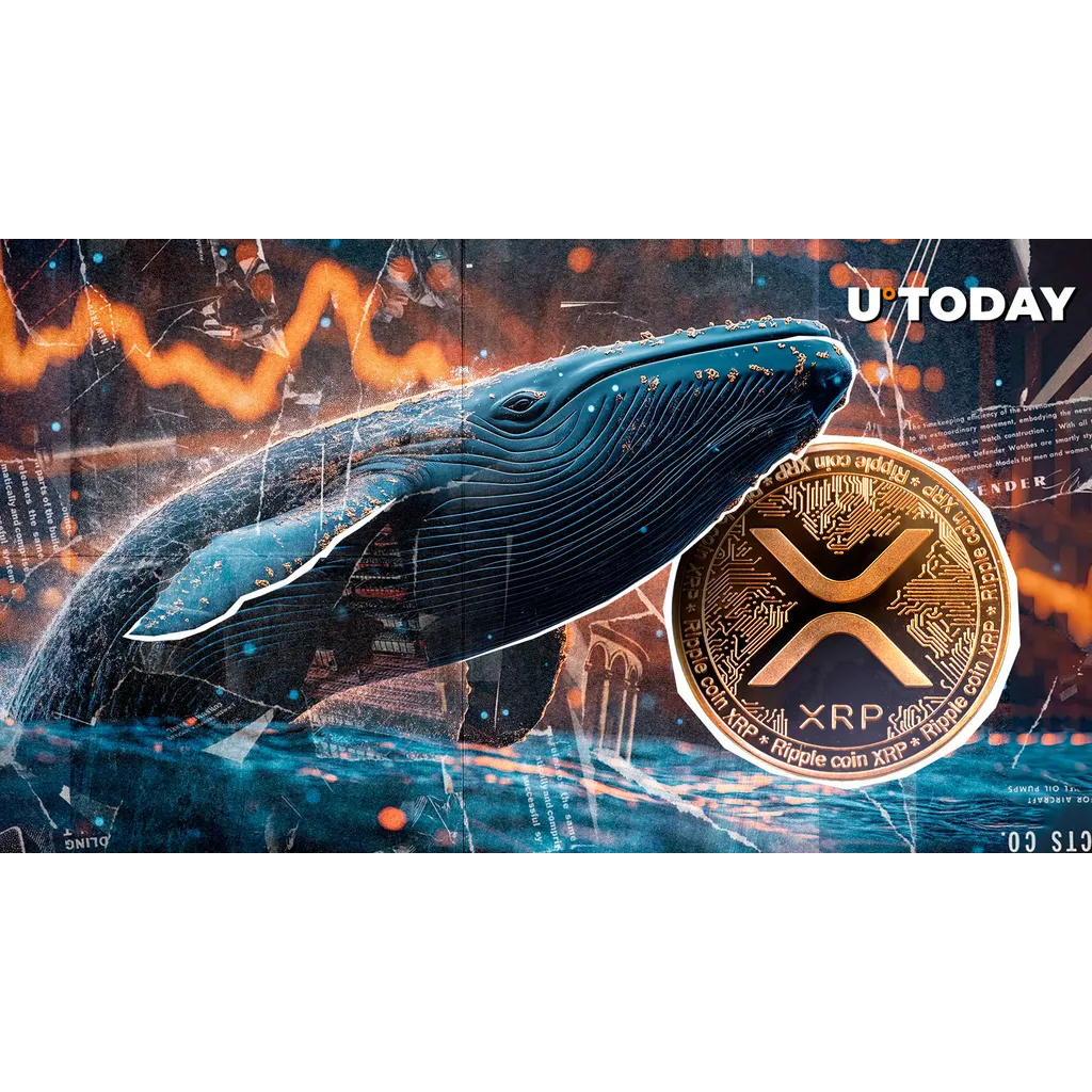 XRP Price Lags, but ‘Millionaire’ Wallets Stage Comeback XRP Price Lags, but ‘Millionaire’ Wallets Stage Comeback
