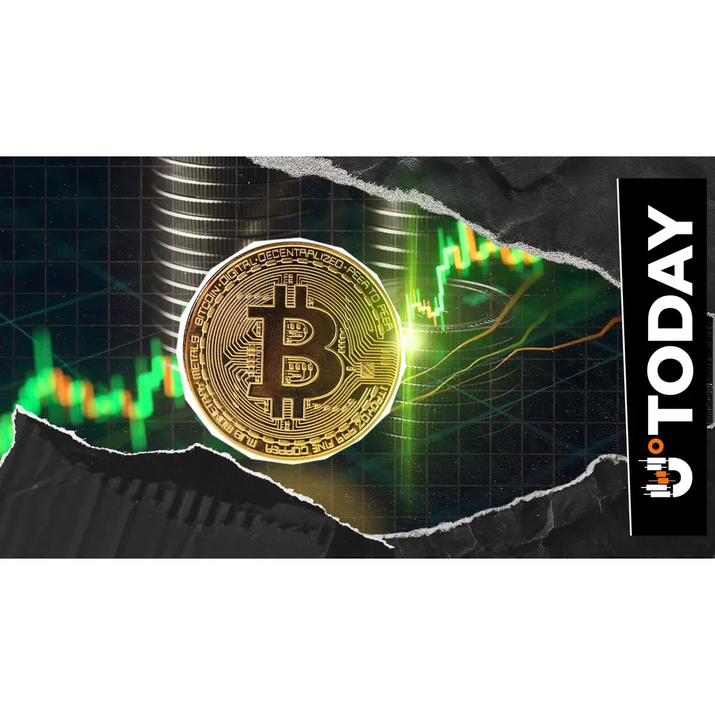 Bitcoin in February Is a Success Story, BTC Price History Proves Bitcoin in February Is a Success Story, BTC Price History Proves