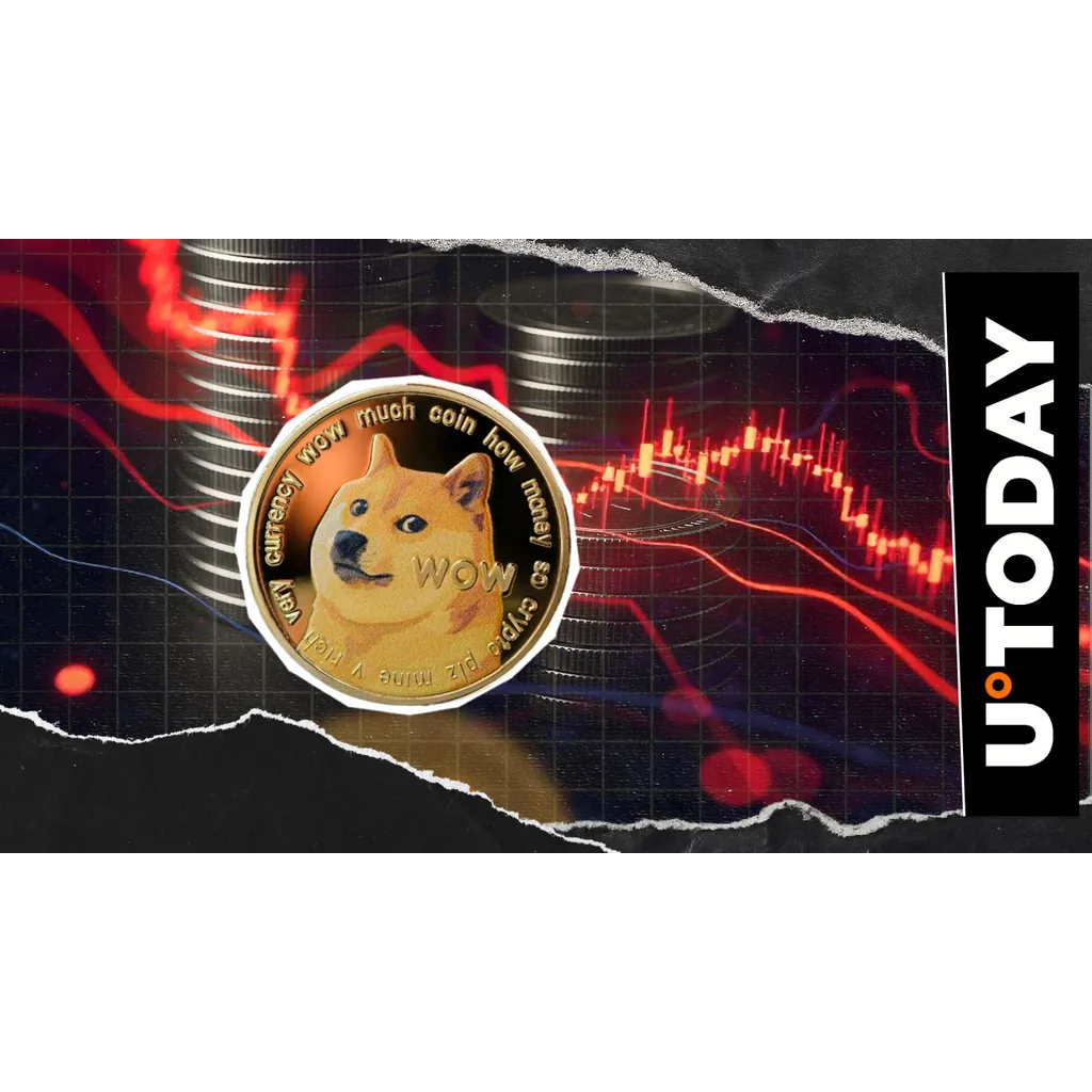 Dogecoin RSI drops to 28.5 amid 12% market decline indicating oversold conditions Dogecoin RSI drops to 28.5 amid 12% market decline indicating oversold conditions