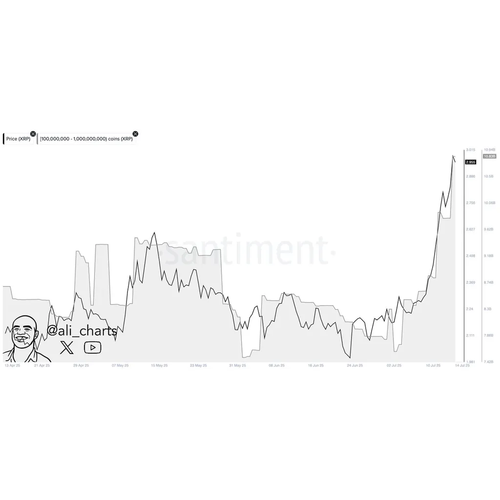 Rare Signal That Preceded 630% XRP Gain Has Just Flashed Again, According to Crypto Trader – The Daily Hodl Rare Signal That Preceded 630% XRP Gain Has Just Flashed Again, According to Crypto Trader – The Daily Hodl
