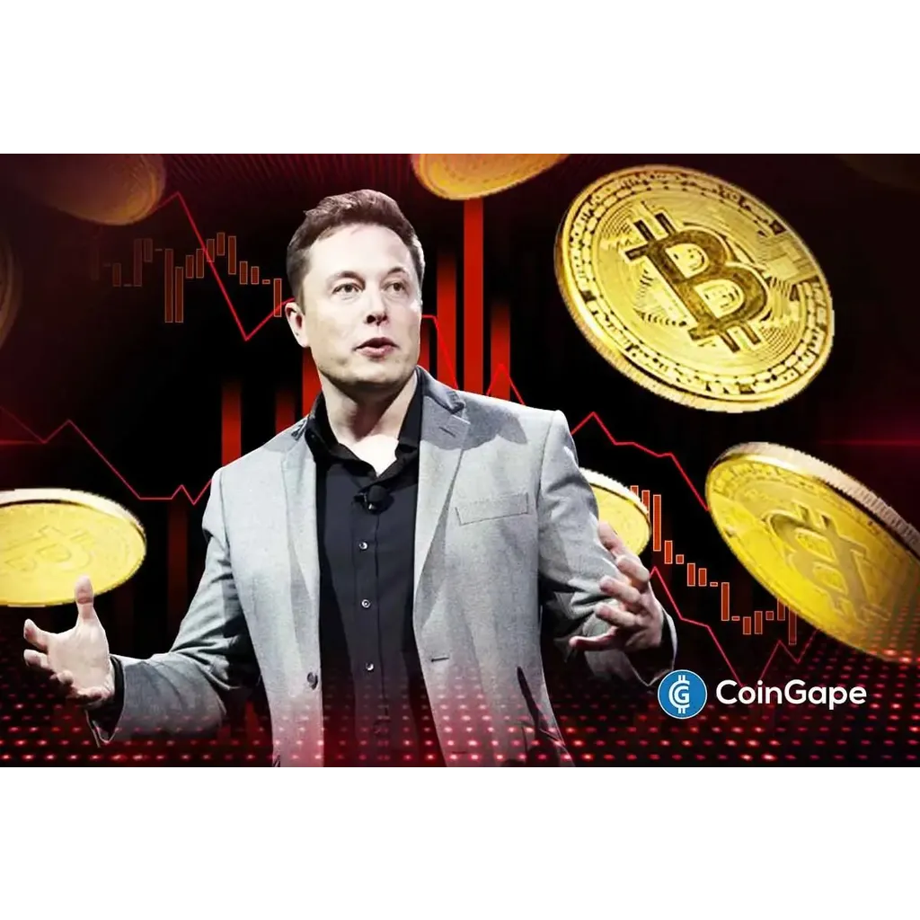 Elon Musk endorses Bitcoin again after years during crypto market decline Elon Musk endorses Bitcoin again after years during crypto market decline