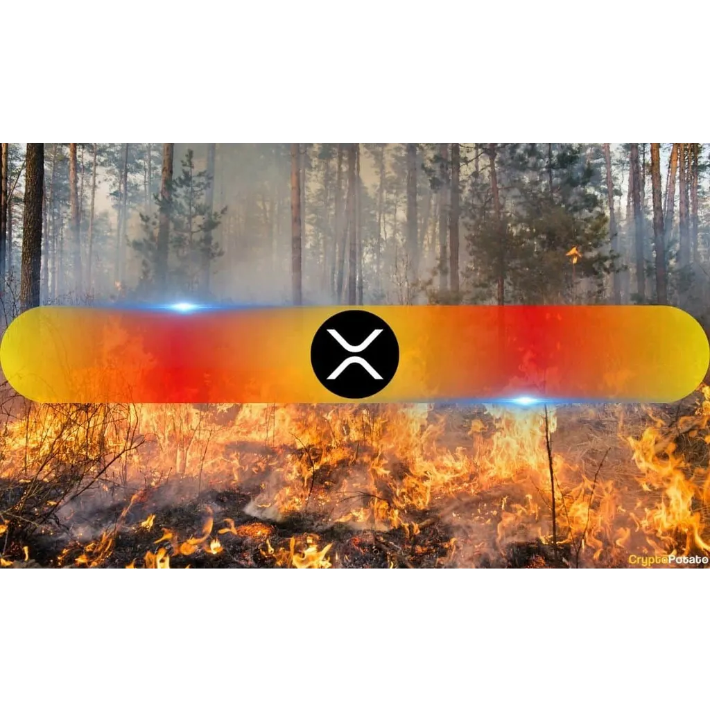 Ripple XRP profit share collapses to 58.5 percent Ripple XRP profit share collapses to 58.5 percent