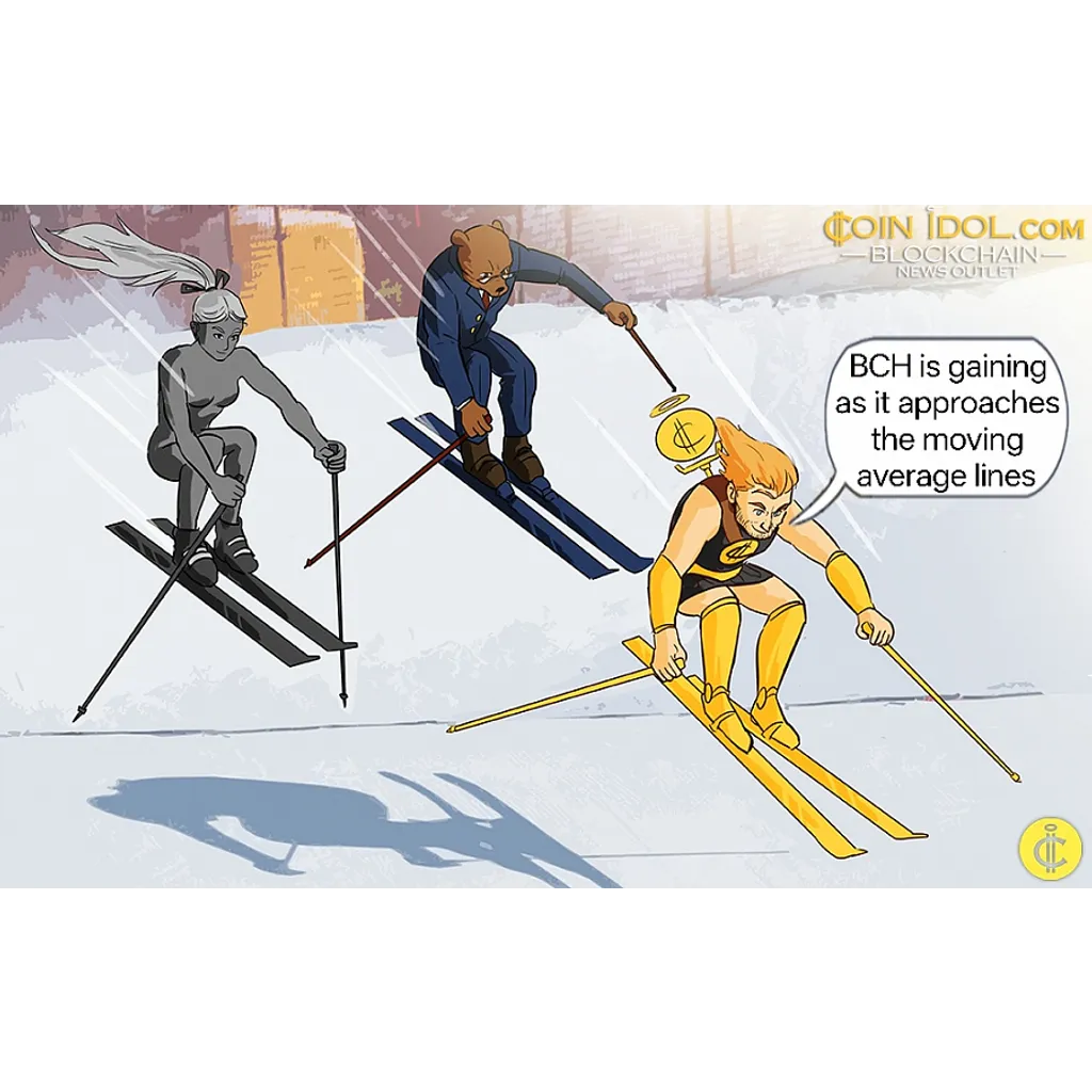Bitcoin Cash recovers and rebounds above 0 price level Bitcoin Cash recovers and rebounds above 0 price level