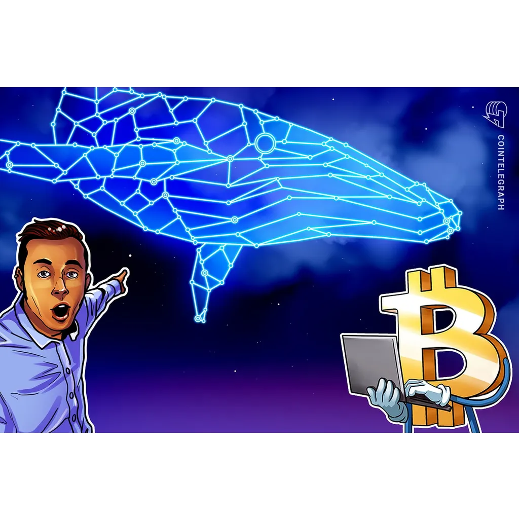 Whale transfers 1,000 BTC after 12 years ahead of FOMC decision Whale transfers 1,000 BTC after 12 years ahead of FOMC decision