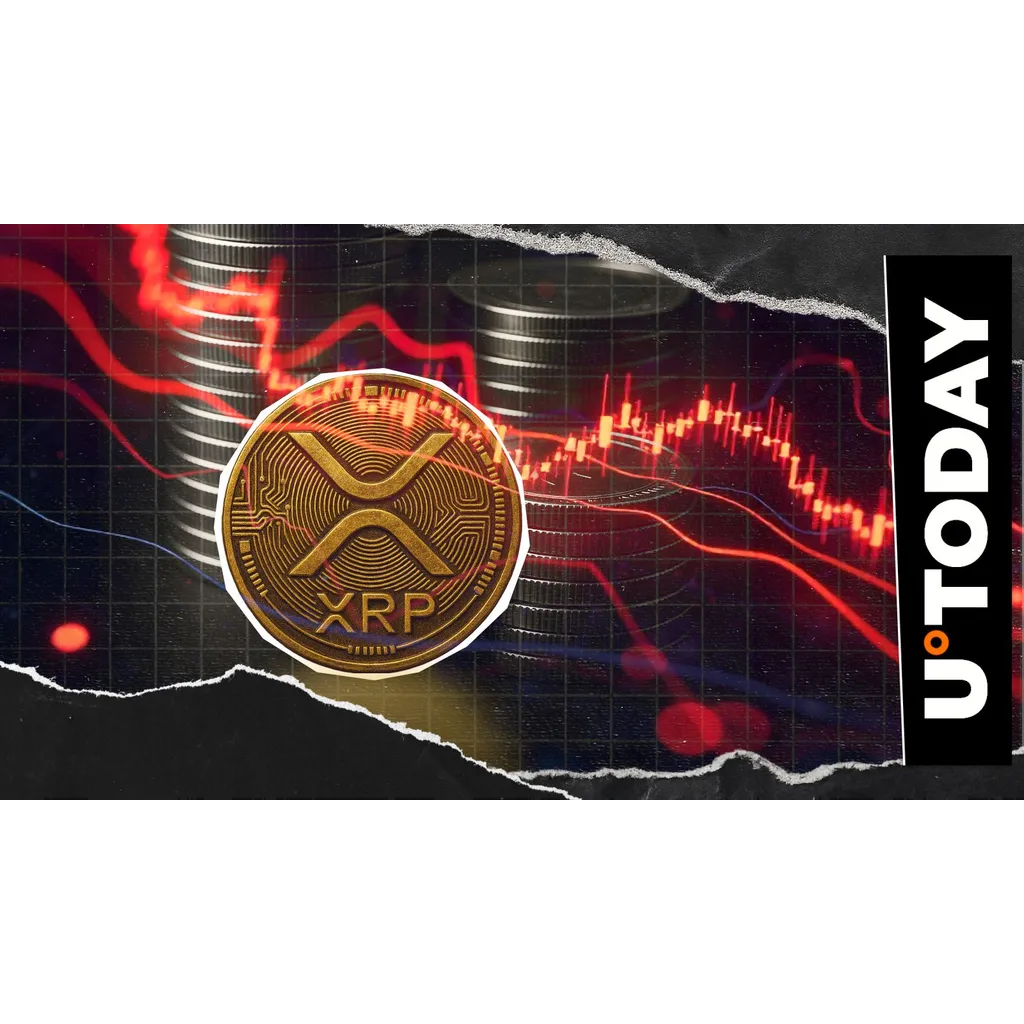 XRP reversal bounds it to one dollar plummet according to analysis XRP reversal bounds it to one dollar plummet according to analysis