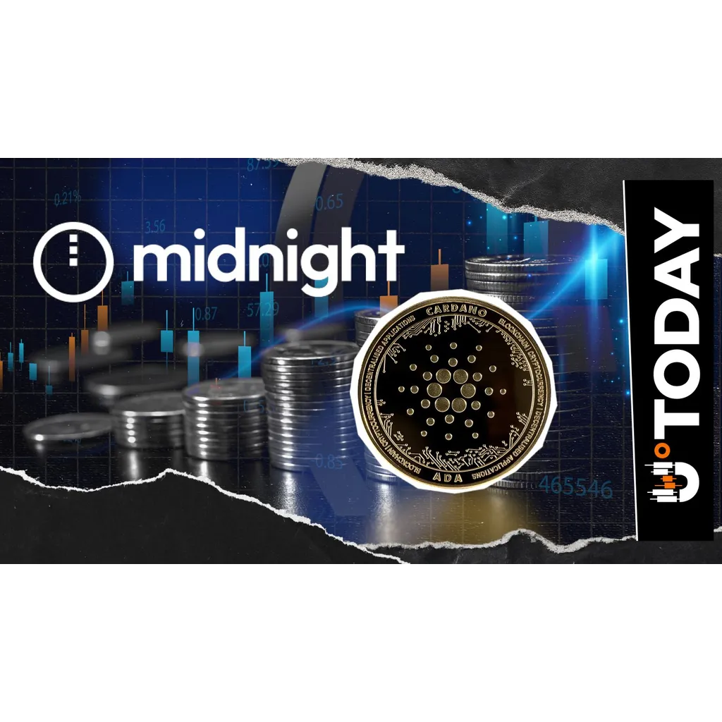 Cardano Midnight Fights for Crucial alt= Cardano Midnight Fights for Crucial alt=
