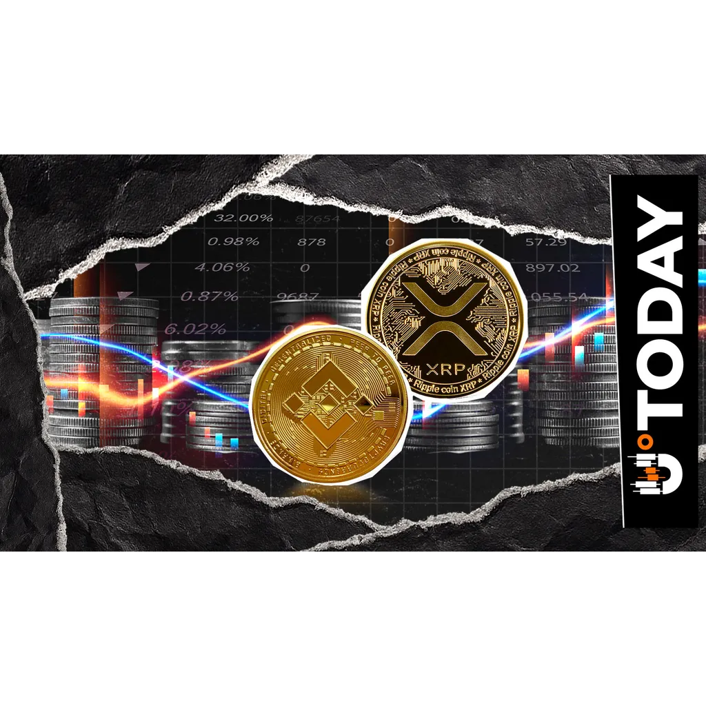 XRP vs BNB Unexpectedly Becomes Tightest Race Crypto Has Right Now XRP vs BNB Unexpectedly Becomes Tightest Race Crypto Has Right Now