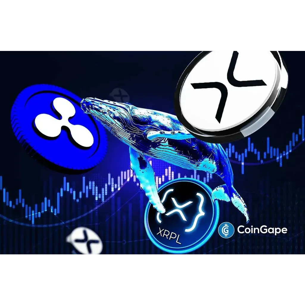 XRP Whales Turn More Bullish as Ripple Execs Head to Major XRPL Japan Event XRP Whales Turn More Bullish as Ripple Execs Head to Major XRPL Japan Event