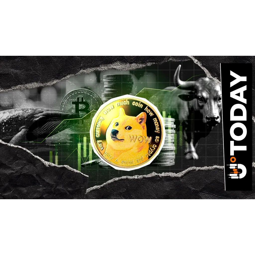 Mysterious Bitcoin Whale Becomes Dogecoin Bull With 15,662,887 DOGE Long Mysterious Bitcoin Whale Becomes Dogecoin Bull With 15,662,887 DOGE Long