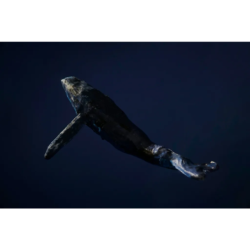 Dormant Whale Sells ,000 BTC, But Bitcoin Bulls Still In Control Dormant Whale Sells ,000 BTC, But Bitcoin Bulls Still In Control