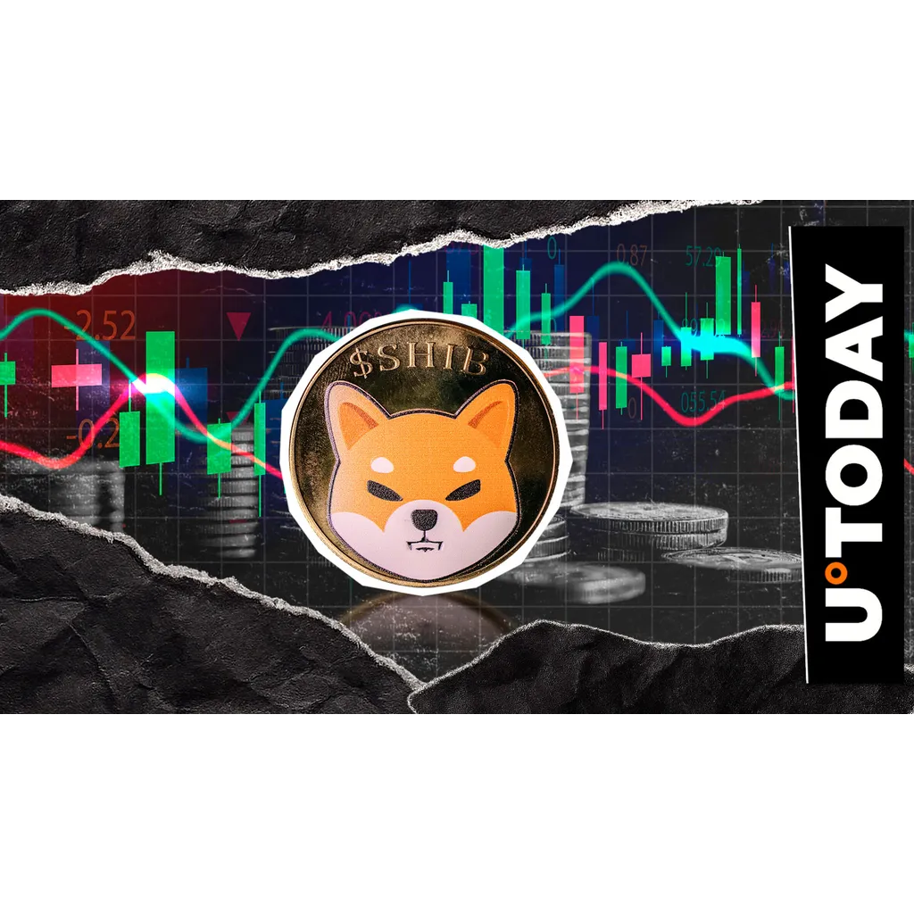 Massive Shiba Inu token movement sparks fakeout or comeback debate Massive Shiba Inu token movement sparks fakeout or comeback debate