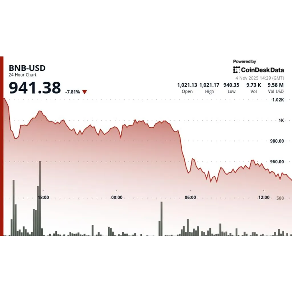 BNB drops below 0 as market sell-off deepens and privacy coins surge BNB drops below 0 as market sell-off deepens and privacy coins surge