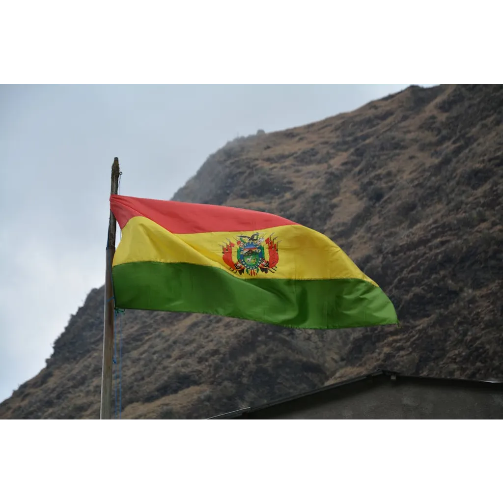 USDT adoption surges in Bolivia amid evaporating dollar reserves USDT adoption surges in Bolivia amid evaporating dollar reserves