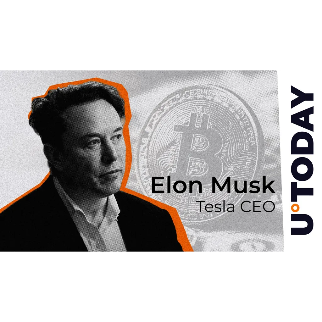 Elon Musk calls Bitcoin true currency in a major public statement Elon Musk calls Bitcoin true currency in a major public statement