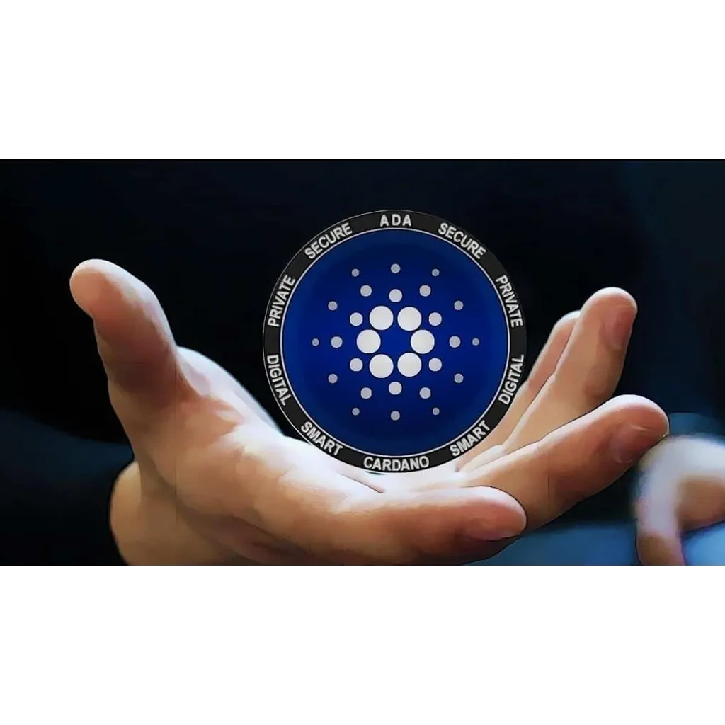 Did Cardano Founder Steal 9 Million? Hopkinson Makes Shocking Revelation Did Cardano Founder Steal 9 Million? Hopkinson Makes Shocking Revelation