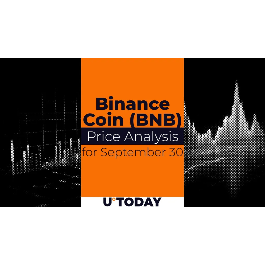 Binance Coin BNB price analysis for September 30 shows market activity Binance Coin BNB price analysis for September 30 shows market activity