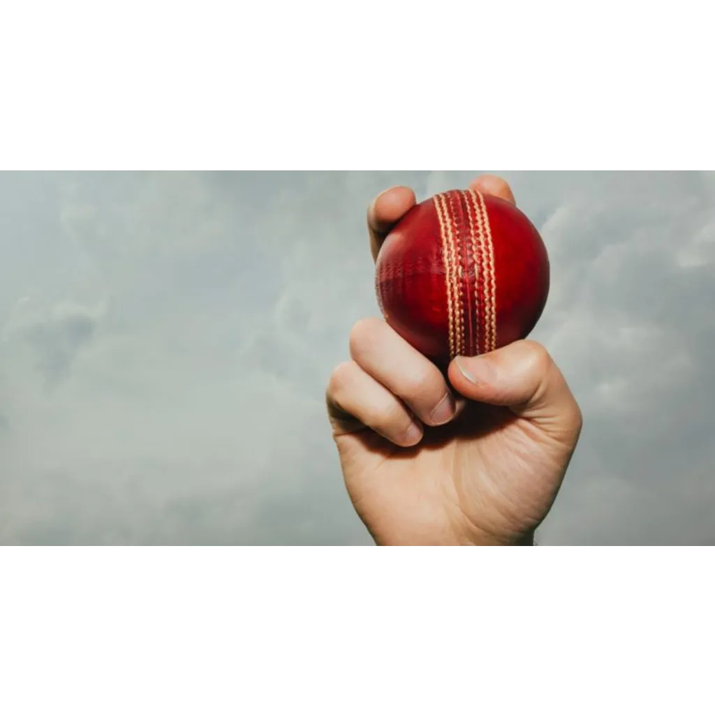 BitEdge helps find crypto betting platforms for cricket enthusiasts BitEdge helps find crypto betting platforms for cricket enthusiasts