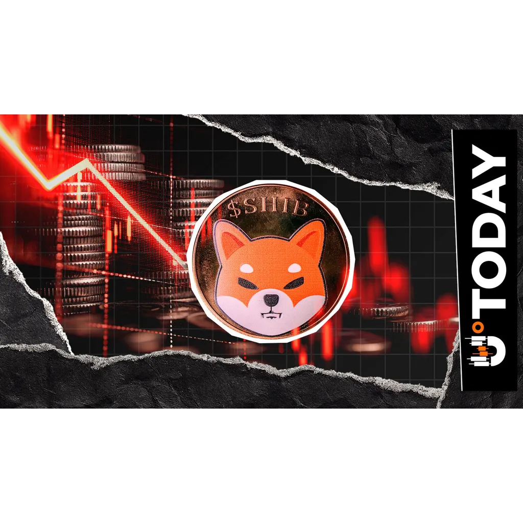 -228 Billion SHIB: Shiba Inu Coin Supply on Exchange Continues to Squeeze -228 Billion SHIB: Shiba Inu Coin Supply on Exchange Continues to Squeeze
