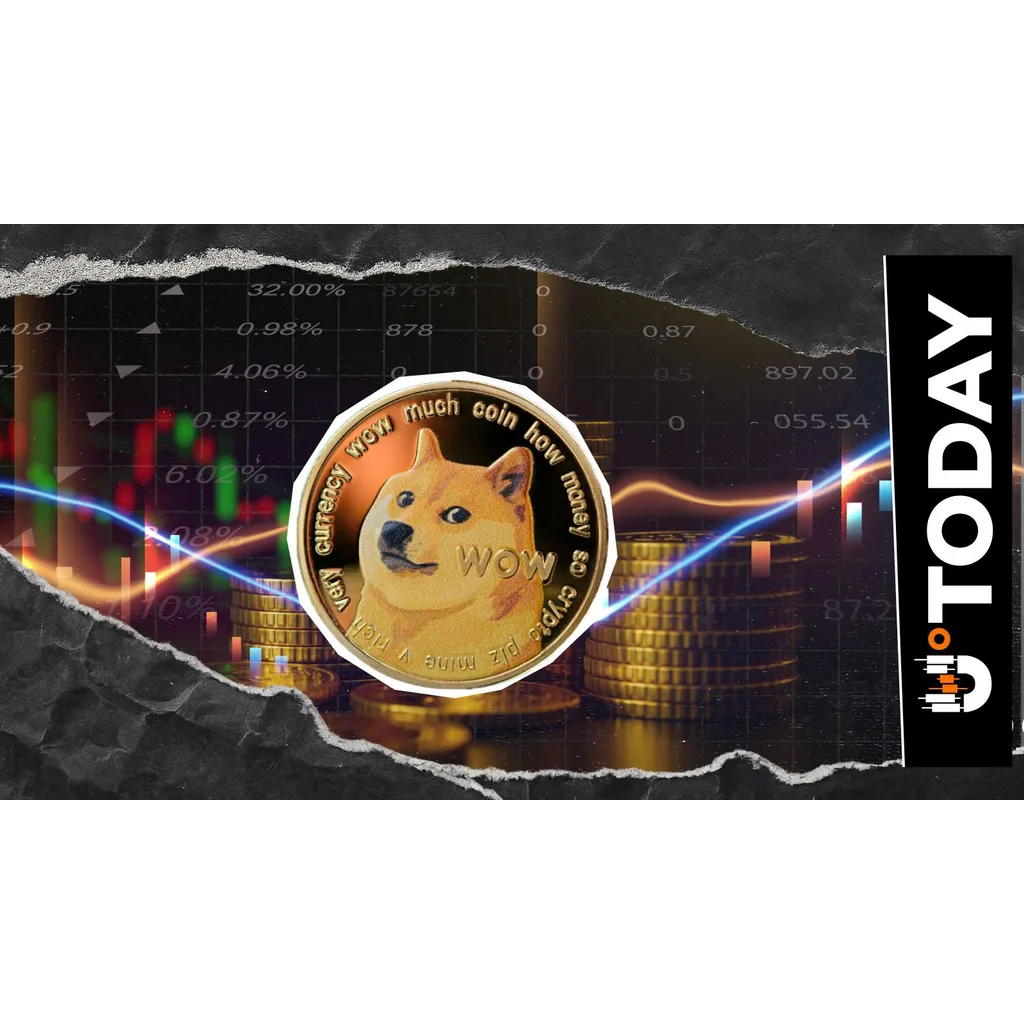 DOGE alt= DOGE alt=