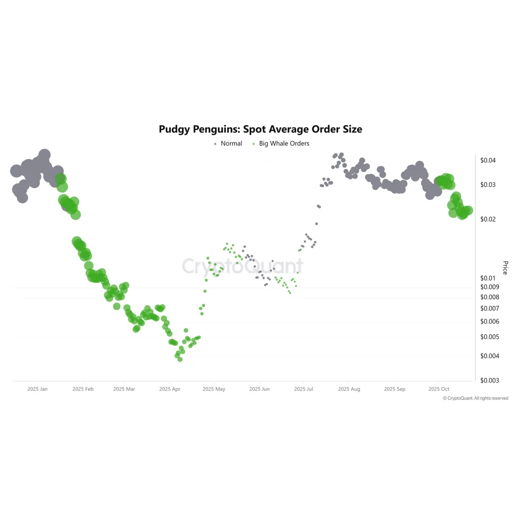 PENGU token price declines 69 percent from all-time high as whales accumulate PENGU token price declines 69 percent from all-time high as whales accumulate