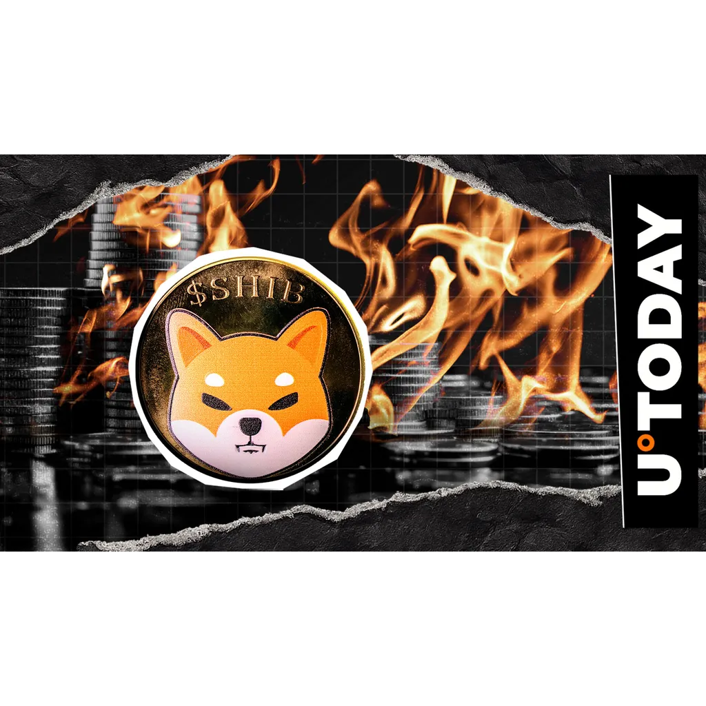 Shiba Inu burn rate falls 99 percent during crypto liquidation event Shiba Inu burn rate falls 99 percent during crypto liquidation event