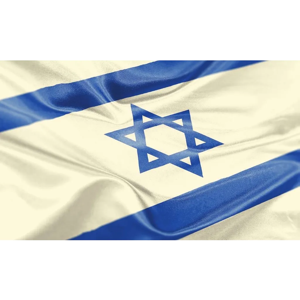 Israel Will Buy BTC and ETH and Give it to a Gambling Offender Israel Will Buy BTC and ETH and Give it to a Gambling Offender