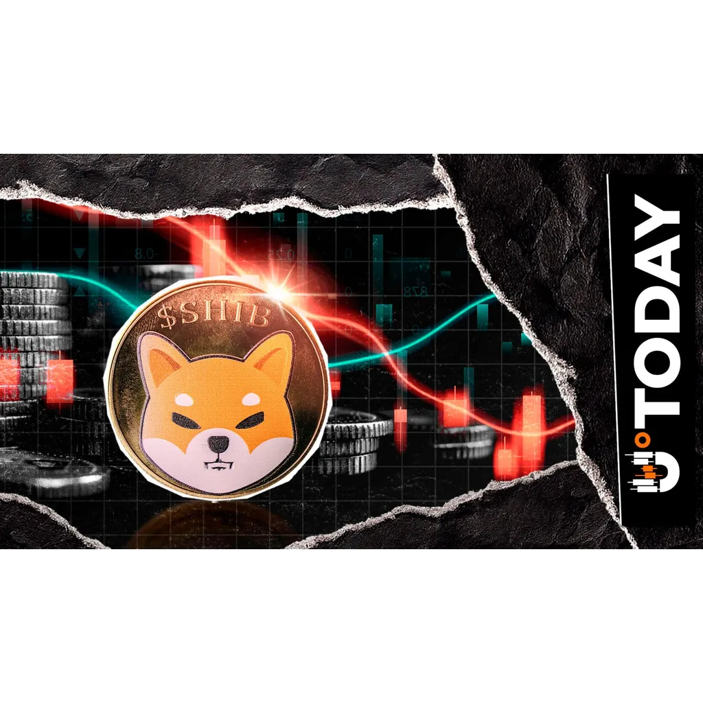 -459,000,000,000 Shiba Inu in 1 Week: SHIB Exchanges Hit With Supply Thirst -459,000,000,000 Shiba Inu in 1 Week: SHIB Exchanges Hit With Supply Thirst