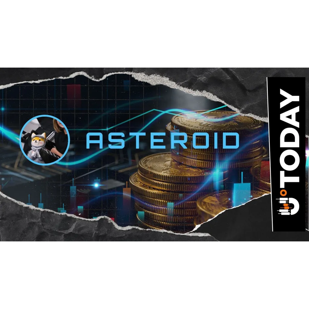 Does Asteroid Shiba Actually Hold a Future? Does Asteroid Shiba Actually Hold a Future?