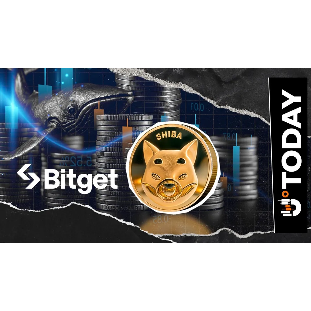 -203 Billion Shiba Inu (SHIB): Whale Sends 30% of Stack to Bitget After Long-Term Holding -203 Billion Shiba Inu (SHIB): Whale Sends 30% of Stack to Bitget After Long-Term Holding