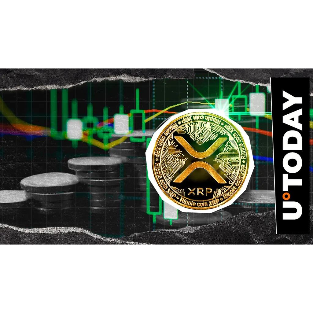 XRP trading volume increases 140 percent amid oversold RSI signals XRP trading volume increases 140 percent amid oversold RSI signals