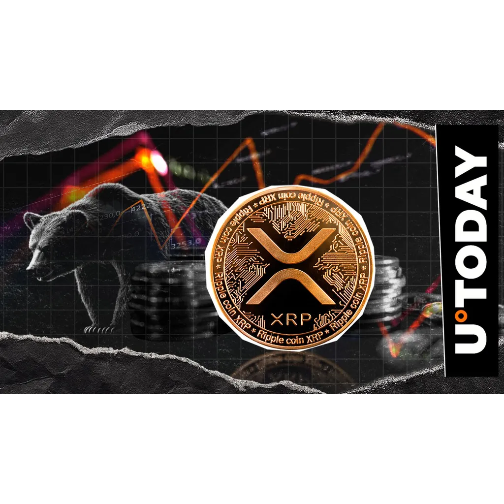XRP bulls face 56,076% liquidation imbalance after going all in XRP bulls face 56,076% liquidation imbalance after going all in