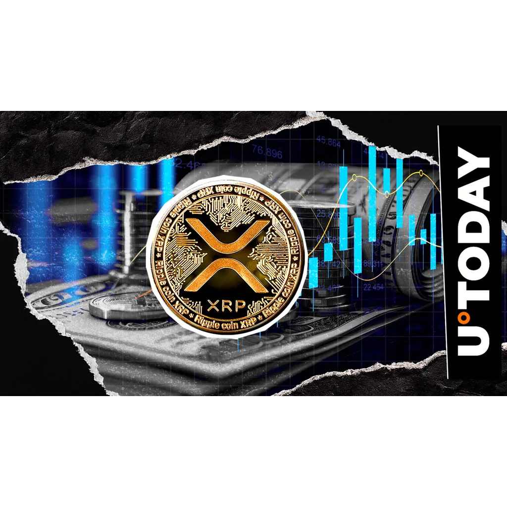 XRP maintains membership in cryptocurrency one million holder club XRP maintains membership in cryptocurrency one million holder club