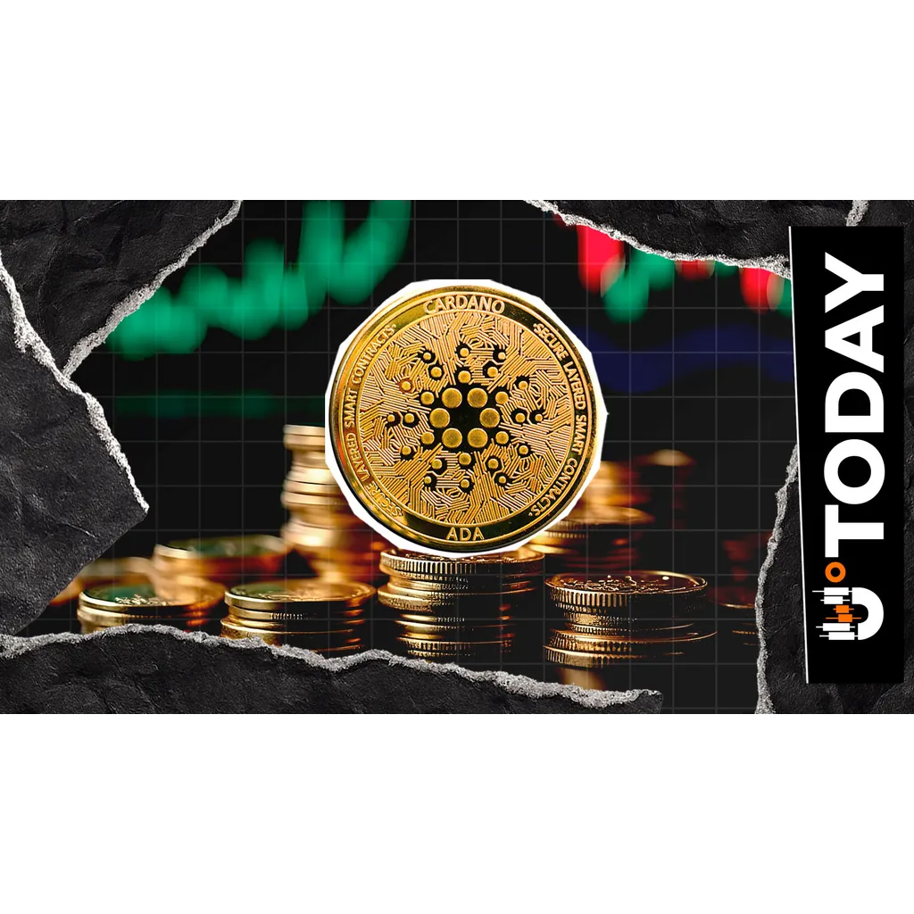 10,000,000 Cardano Holders Top 424 as Price Fights to Come Back 10,000,000 Cardano Holders Top 424 as Price Fights to Come Back