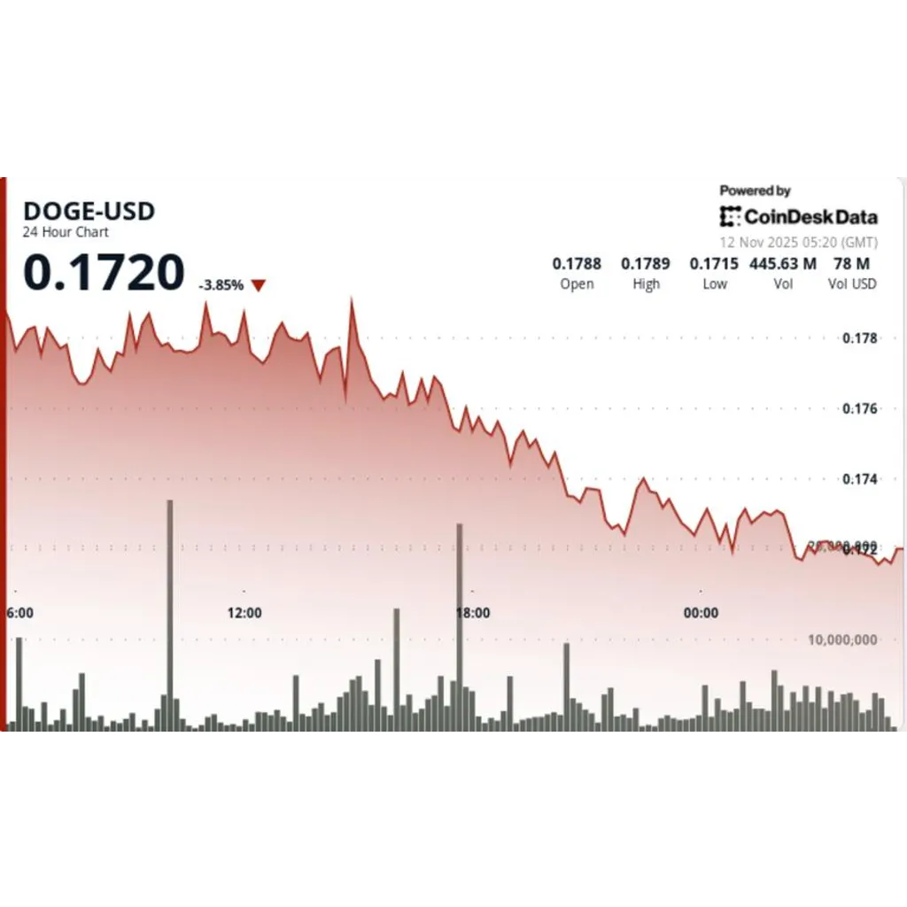 Dogecoin approaches critical zone following Bitcoin price decline Dogecoin approaches critical zone following Bitcoin price decline