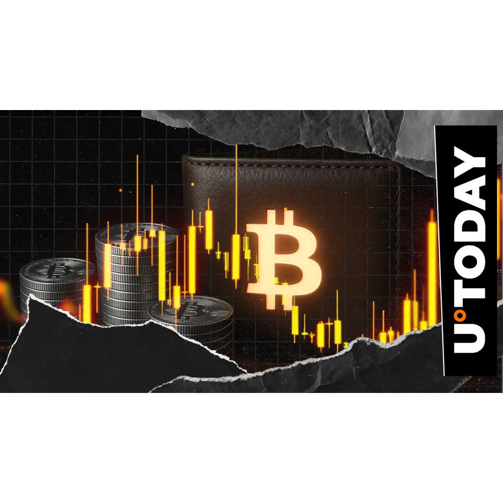 Post-Satoshi-era wallets transfer 6 million in Bitcoin amid 2024 market surge Post-Satoshi-era wallets transfer 6 million in Bitcoin amid 2024 market surge