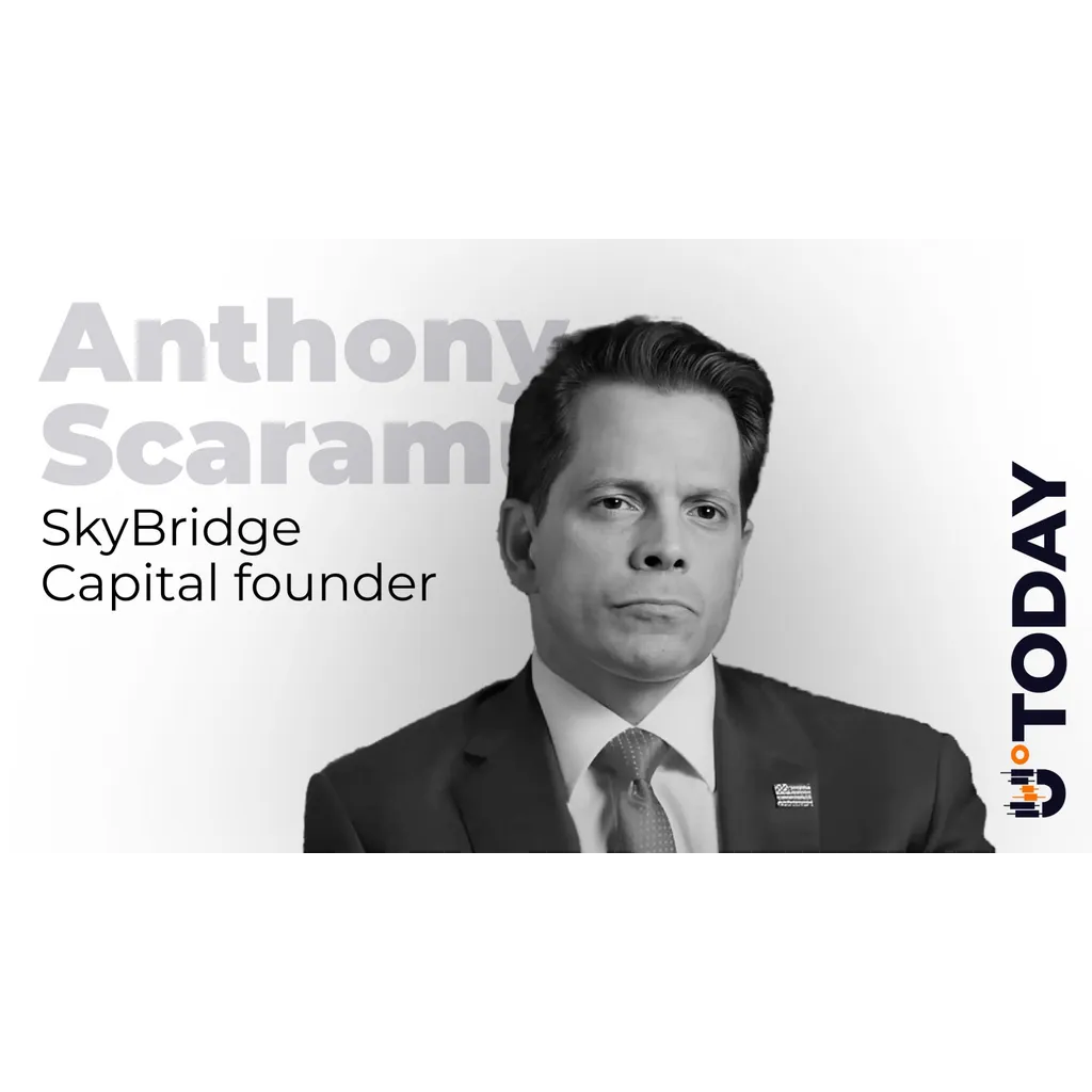 Scaramucci Tells Crypto Community Not to Feel Terrible About K Scaramucci Tells Crypto Community Not to Feel Terrible About K