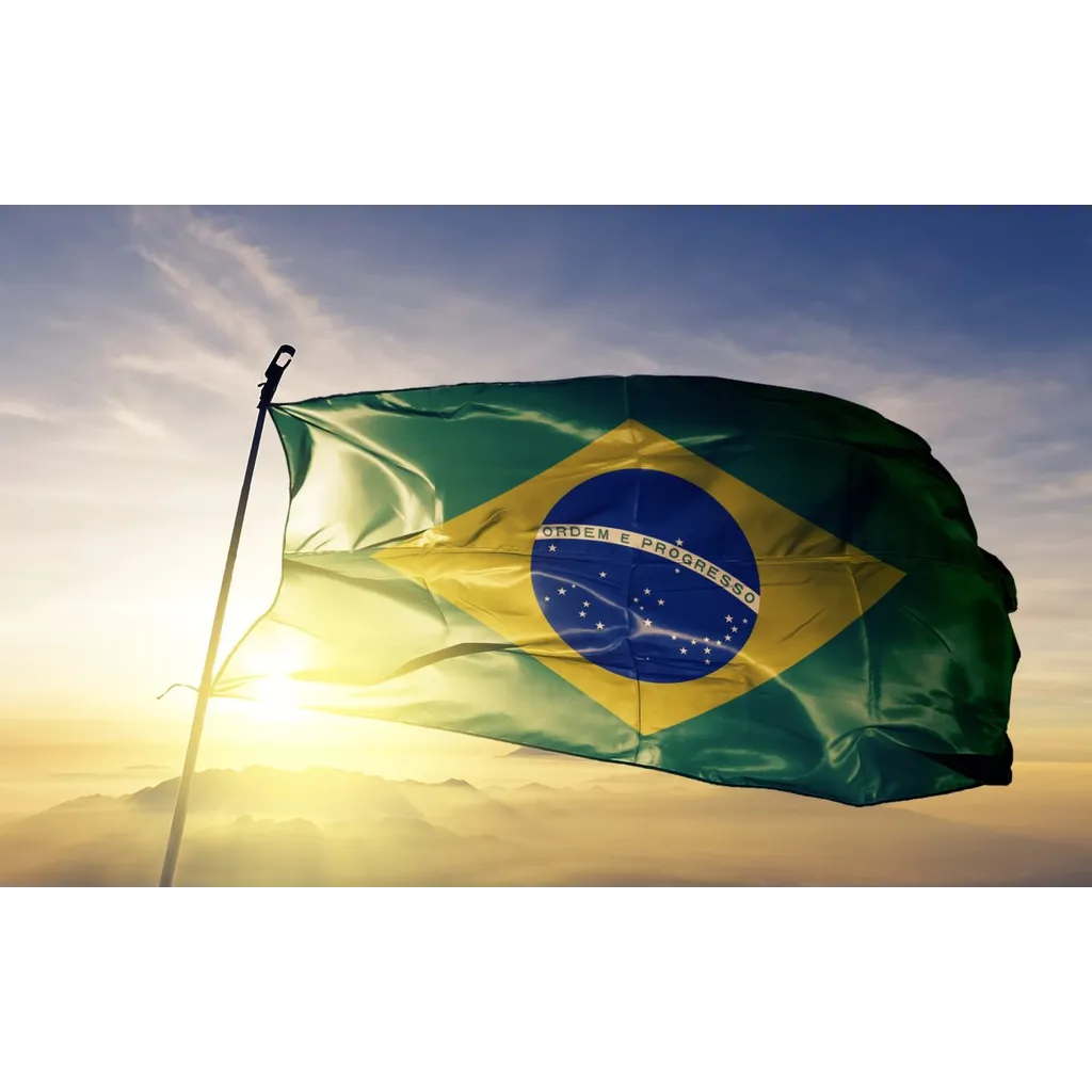 Brazil’s Main Stock Exchange Plans Tokenization Platform And Stablecoin By 2026 Brazil’s Main Stock Exchange Plans Tokenization Platform And Stablecoin By 2026