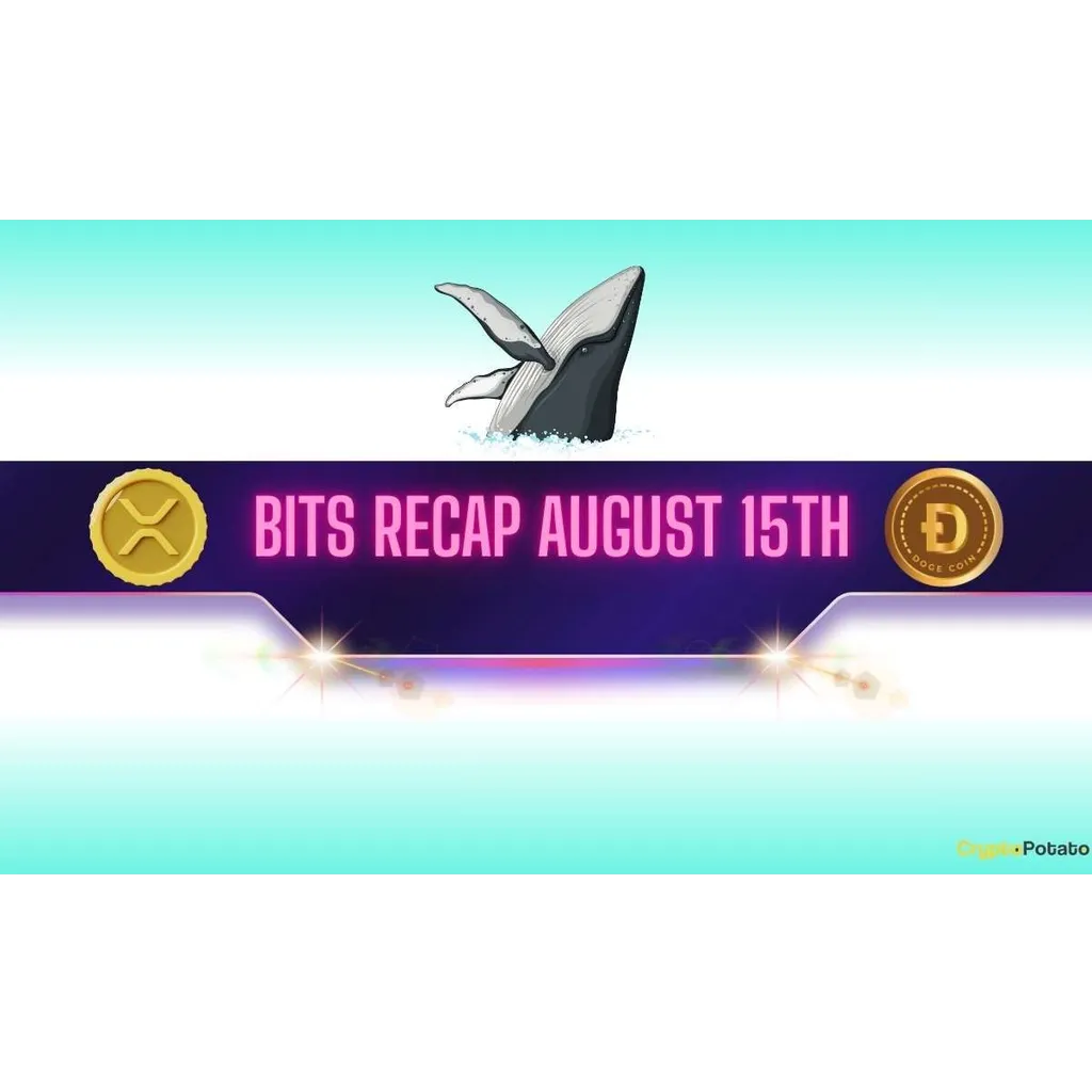 XRP and DOGE whales move 0M as BNB hits 0 on August 15th XRP and DOGE whales move 0M as BNB hits 0 on August 15th
