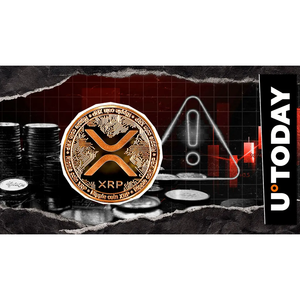 Ripple partner exchange issues scam alert for XRP cryptocurrency community Ripple partner exchange issues scam alert for XRP cryptocurrency community
