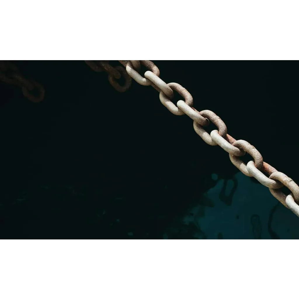 The evolution of on-chain reputation systems continues to advance The evolution of on-chain reputation systems continues to advance