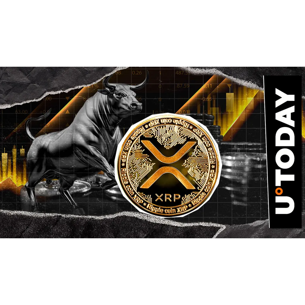 1,289,000 XRP moved in 24 hours indicating bullish price signal 1,289,000 XRP moved in 24 hours indicating bullish price signal